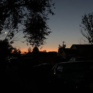 Meet your Posher, Monique